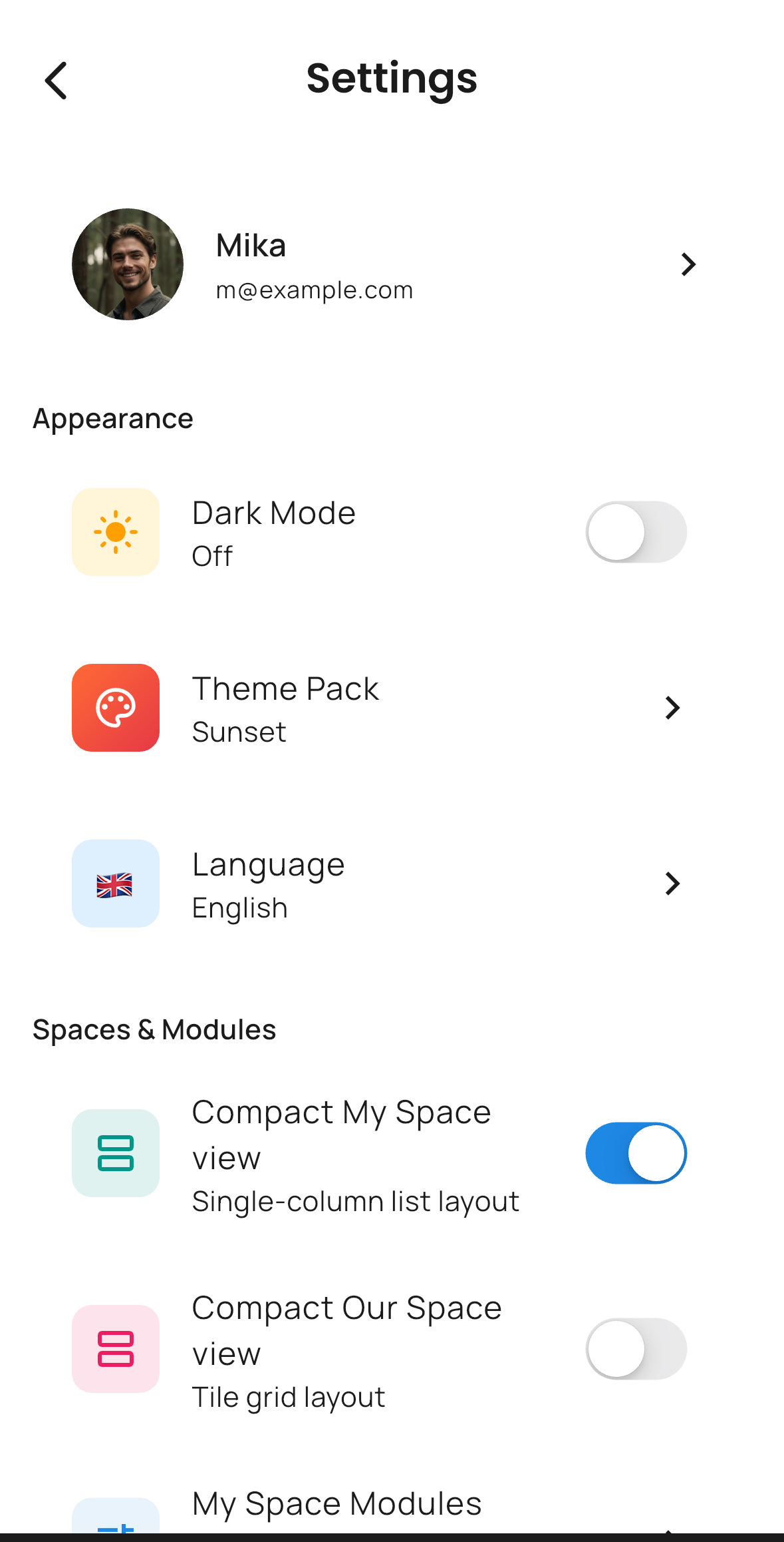 Settings in light theme